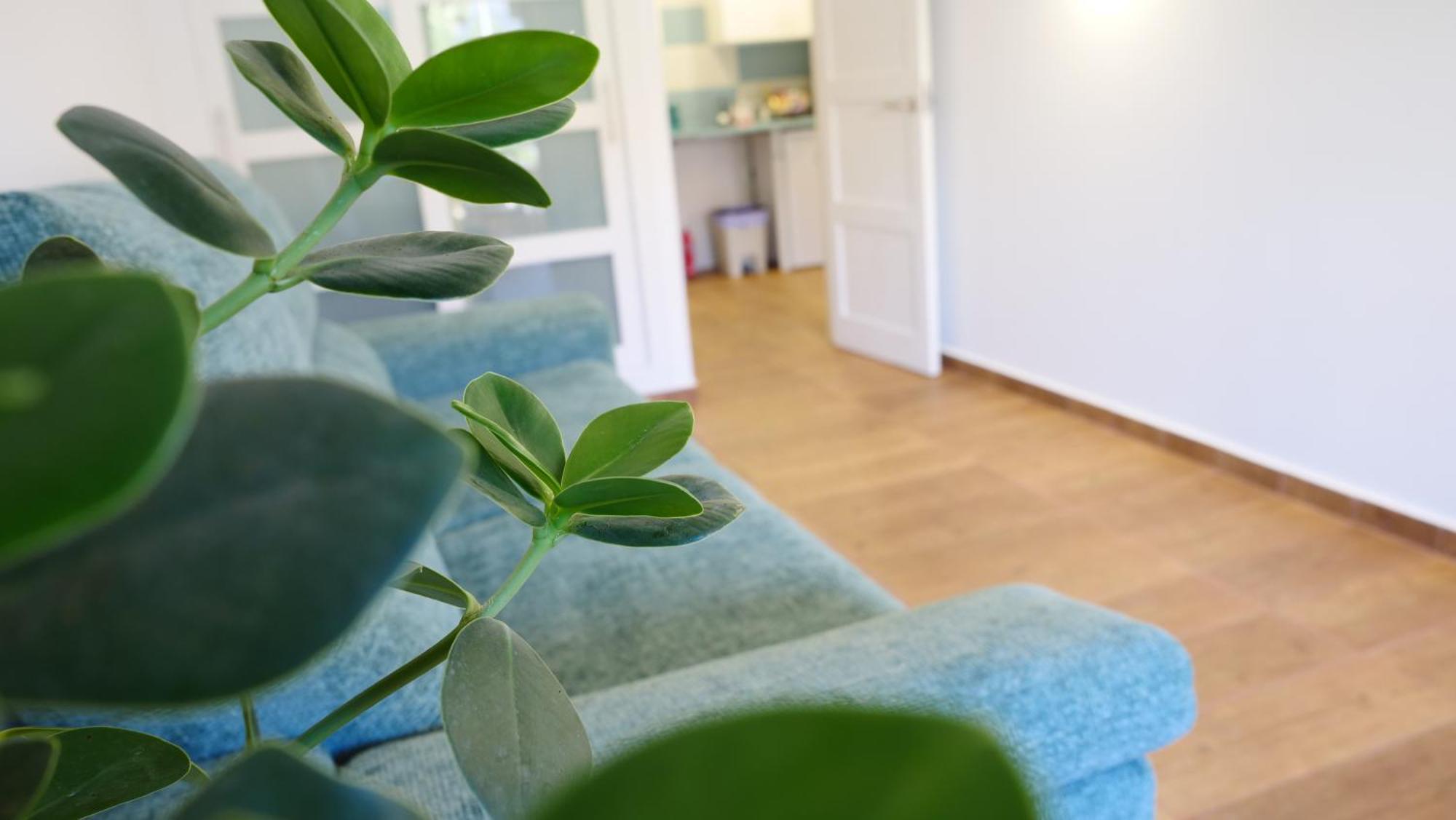 Tuerkiz Kanaan Apartman Puerto de Santiago  Exteriér fotografie