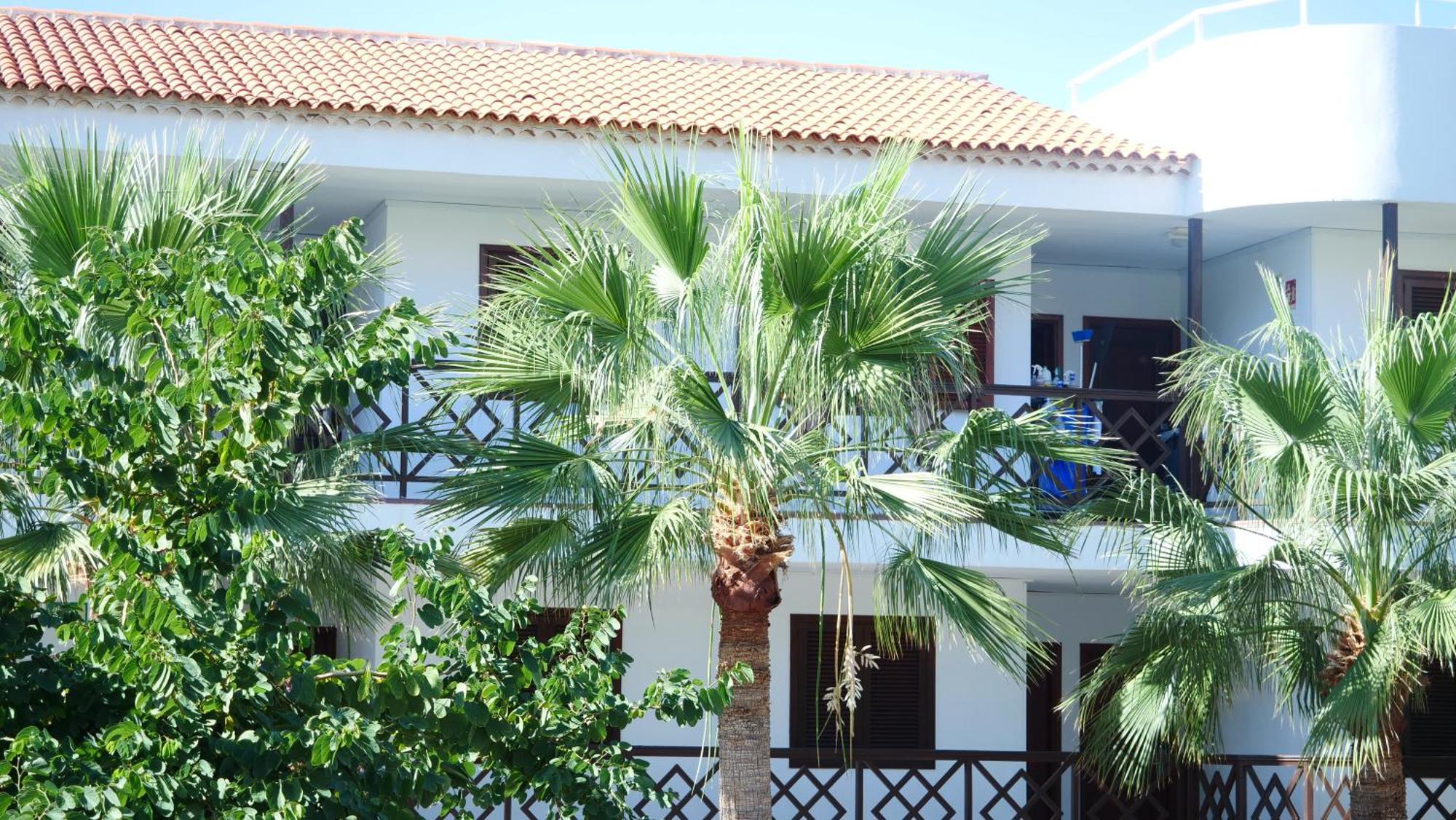 Tuerkiz Kanaan Apartman Puerto de Santiago  Exteriér fotografie